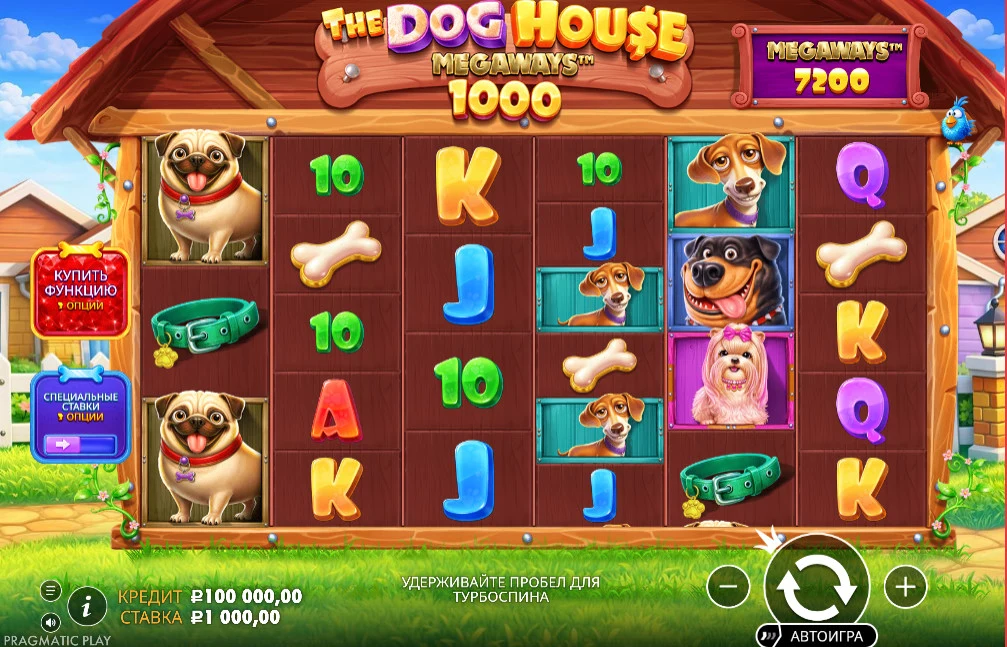 Plansza podstawowa The Dog House Megaways 1000: siatka 6 bębnów, licznik Megaways oraz przyciski „Kup funkcję” i „Zakłady specjalne”
